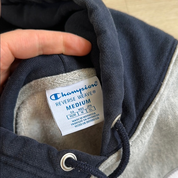 Champion Colorblock Hoodie - Red, Gray, and Blue - Picture 5 of 7